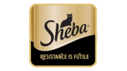sheba