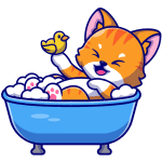 Cat Bathing