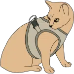 cat harness