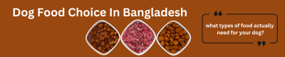 Dog Food Choice In Bangladesh