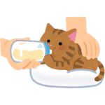 kitten milk replacer