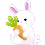 rabbit junior food