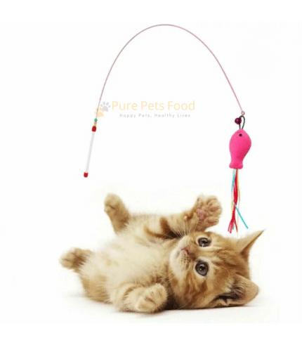 Cat Toy String Fish Teaser with Natural Feathers