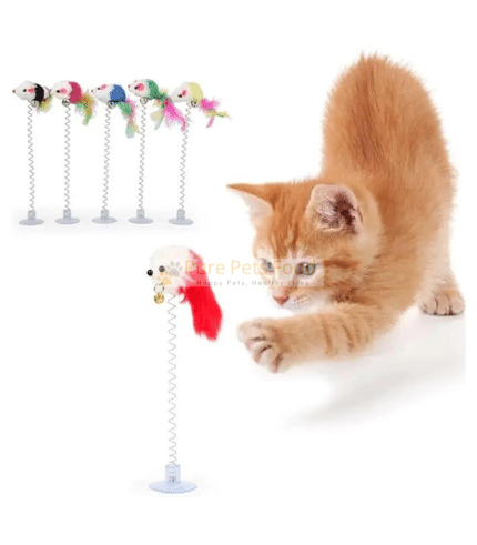 Cat Toy with Playful Mouse Design