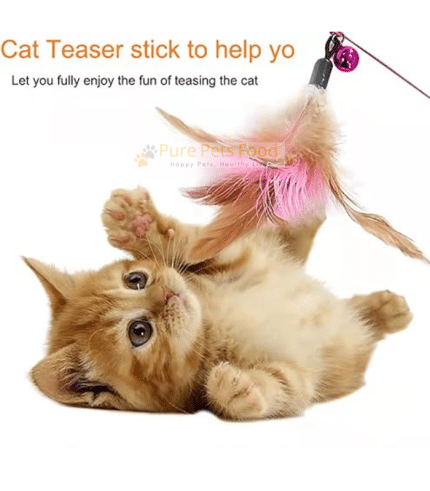 Feather String Teaser Cat Toy