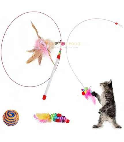 Feather String Teaser Cat Toy