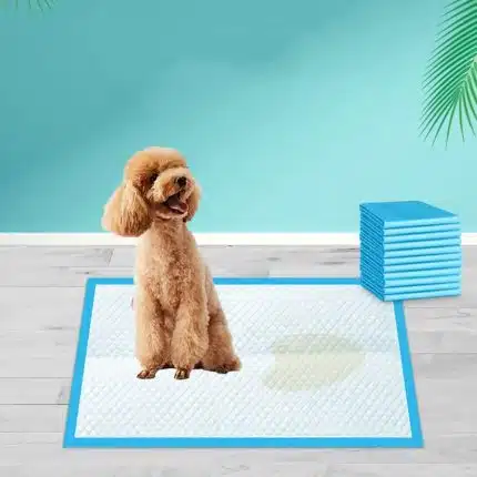 Super Absorbent Pee Pads Pet Training Disposable for Dogs and Cats