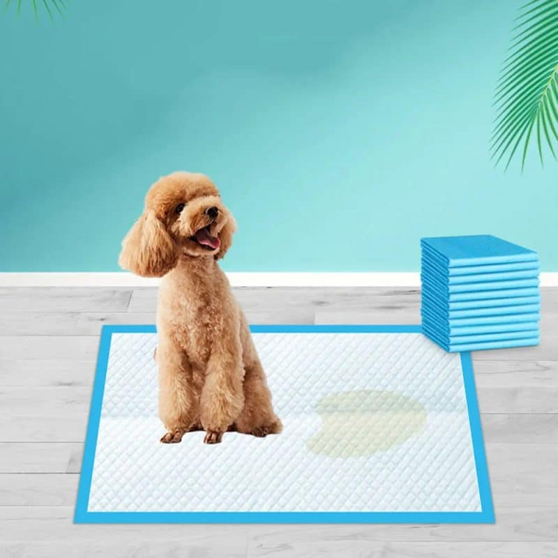 Super Absorbent Pee Pads Pet Training Disposable for Dogs and Cats