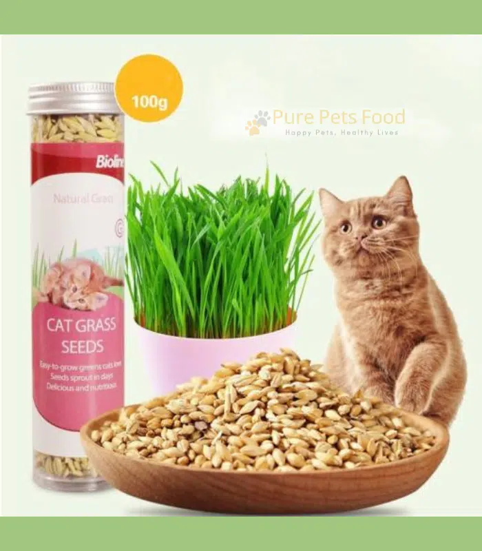 Bioline Organic Cat Grass Seeds 100G Healthy Greens for Your Pet
